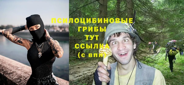 хмурый Абинск