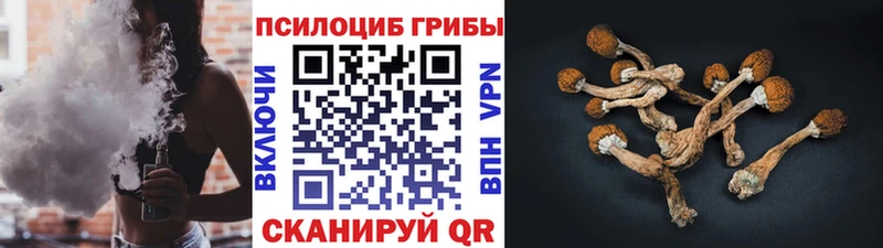 наркота  Щёлково  Галлюциногенные грибы Magic Shrooms 